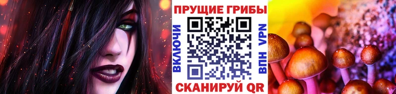 Псилоцибиновые грибы Psilocybine cubensis  где купить наркотик  мориарти официальный сайт  Кущёвская 